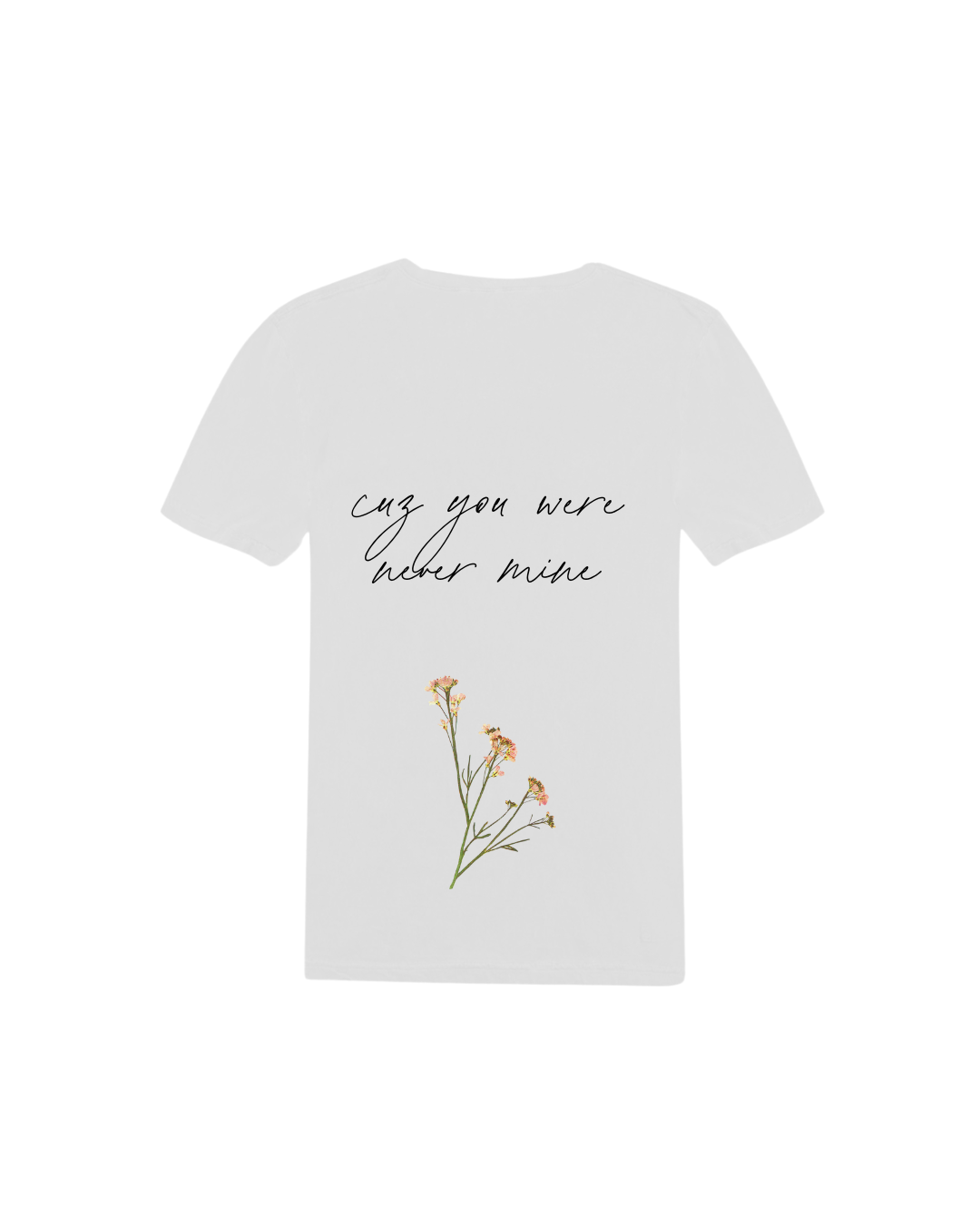 Camiseta Taylor Swift