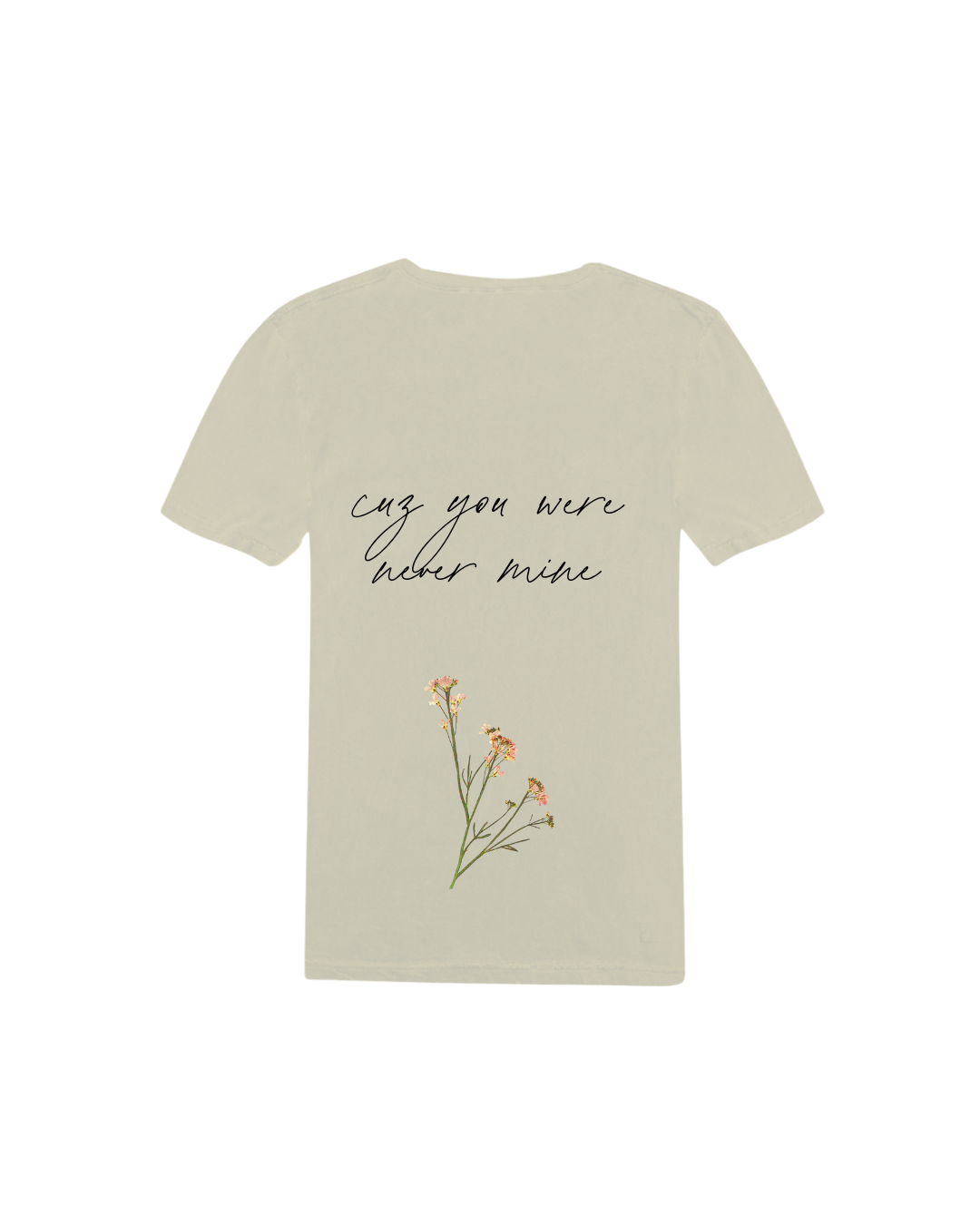 Camiseta Taylor Swift