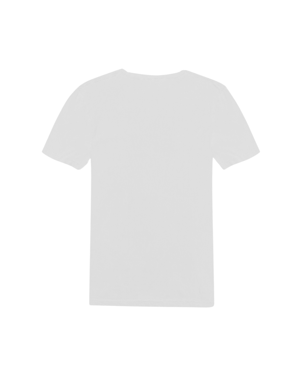 Camiseta Lady Gaga