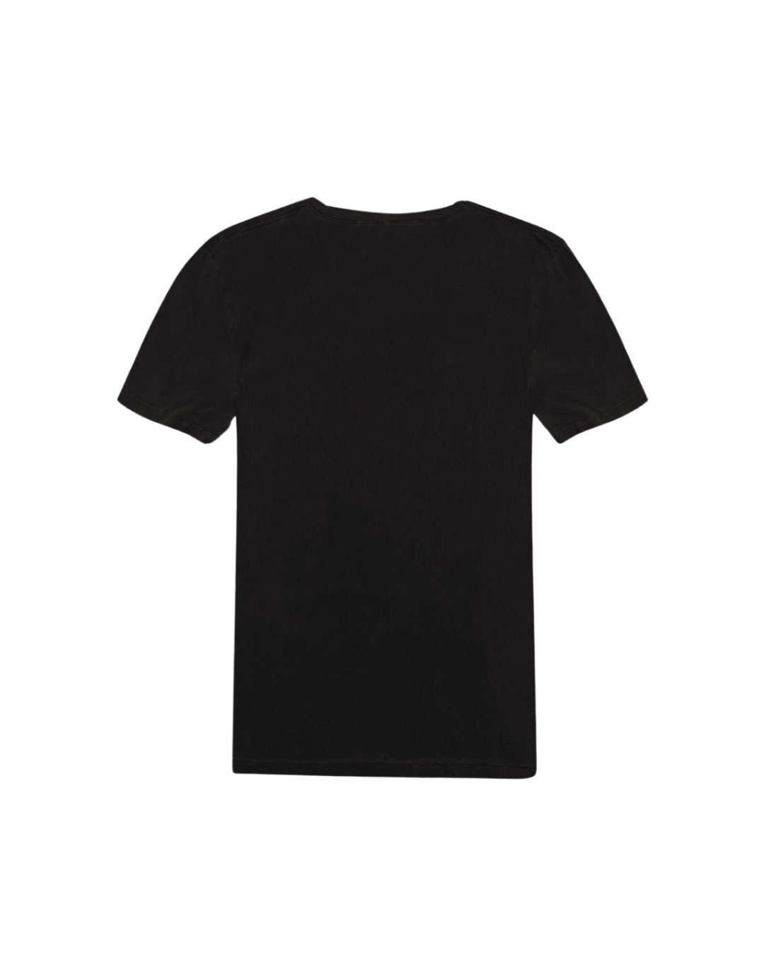Camiseta Lady Gaga